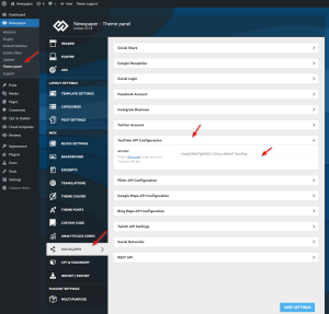 How to use the YouTube API in Newspaper WordPress Theme