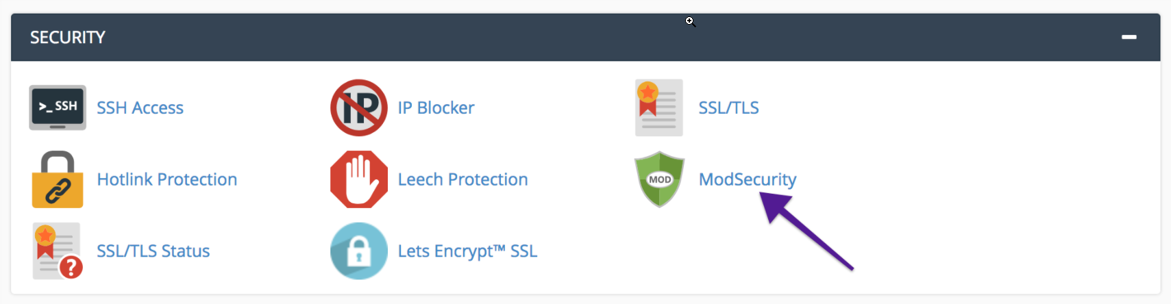 cPanel: ModSecurity Option 